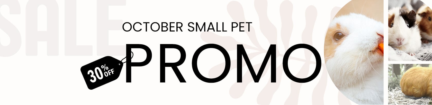 Small Pets, Big Savings!