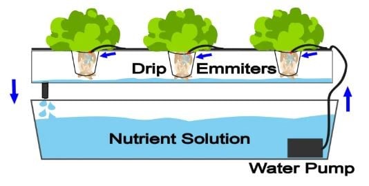 Hydroponics Buying Guide